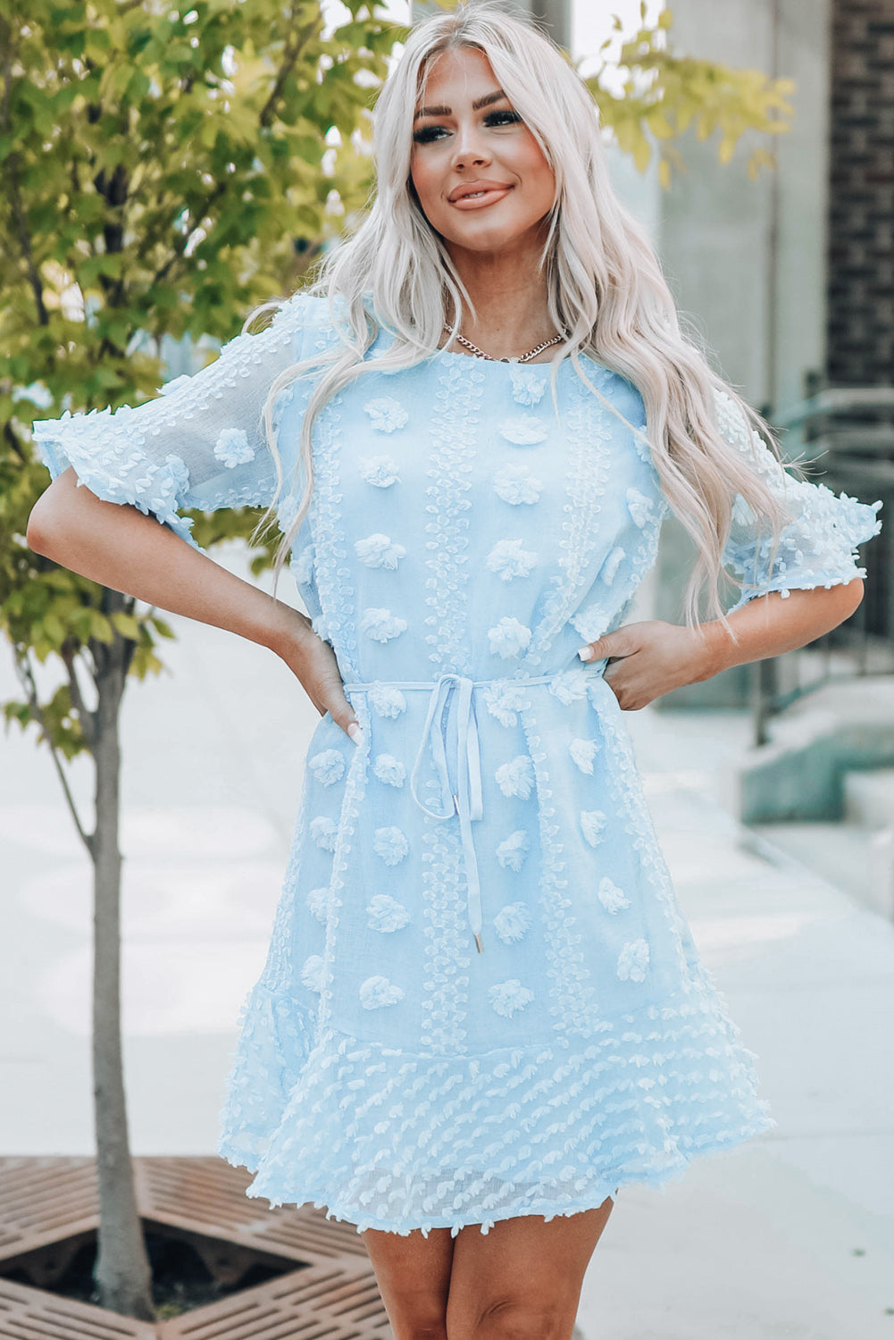 Crew Neck Swiss Dot Dress